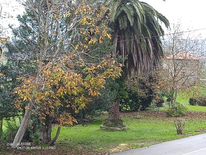 Casa Chisco Daire Cudillero Dış mekan fotoğraf